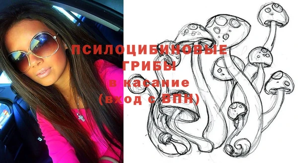 бутират Великий Новгород