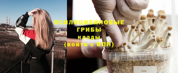 бутират Великий Новгород