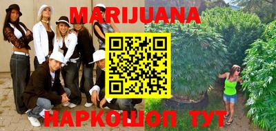 кокс Гатчина