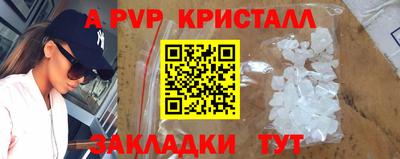 кокс Гатчина