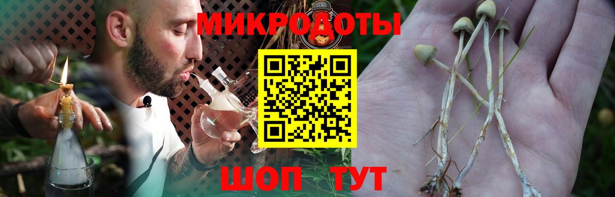 Галлюциногенные грибы Psilocybe  Донецк 